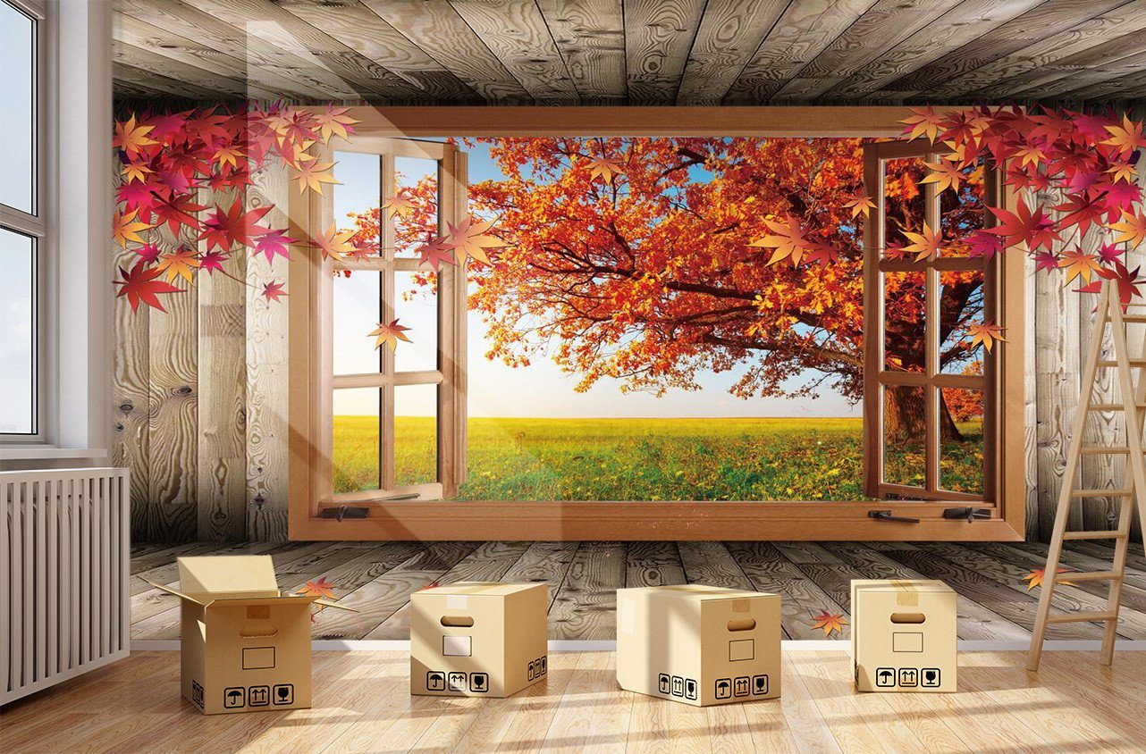 3D Red Maple Forest 591 Wallpaper AJ Wallpaper 
