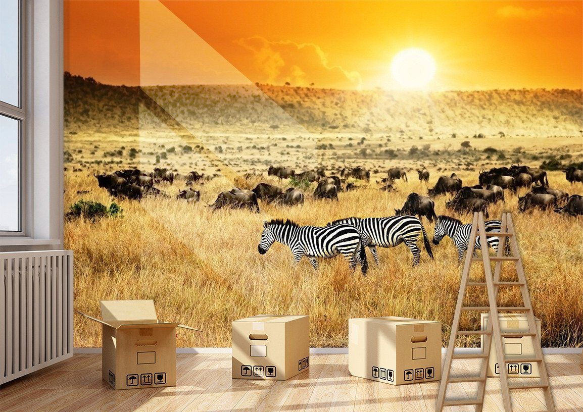 3D Sunset Glow Zebra 648 Wallpaper AJ Wallpaper 