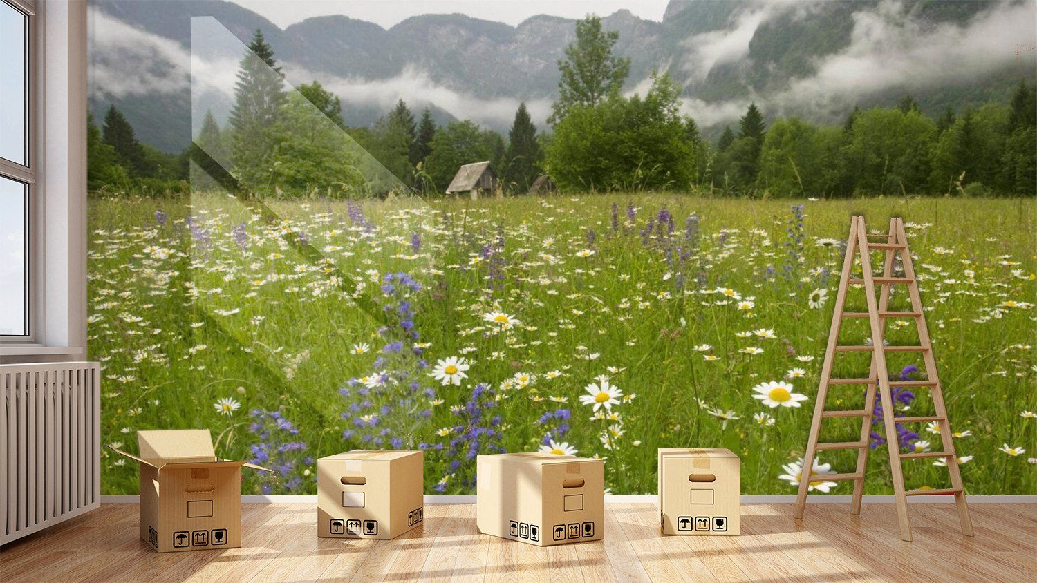 Lavender And Chrysanthemum In Field 8 Wallpaper AJ Wallpaper 1 