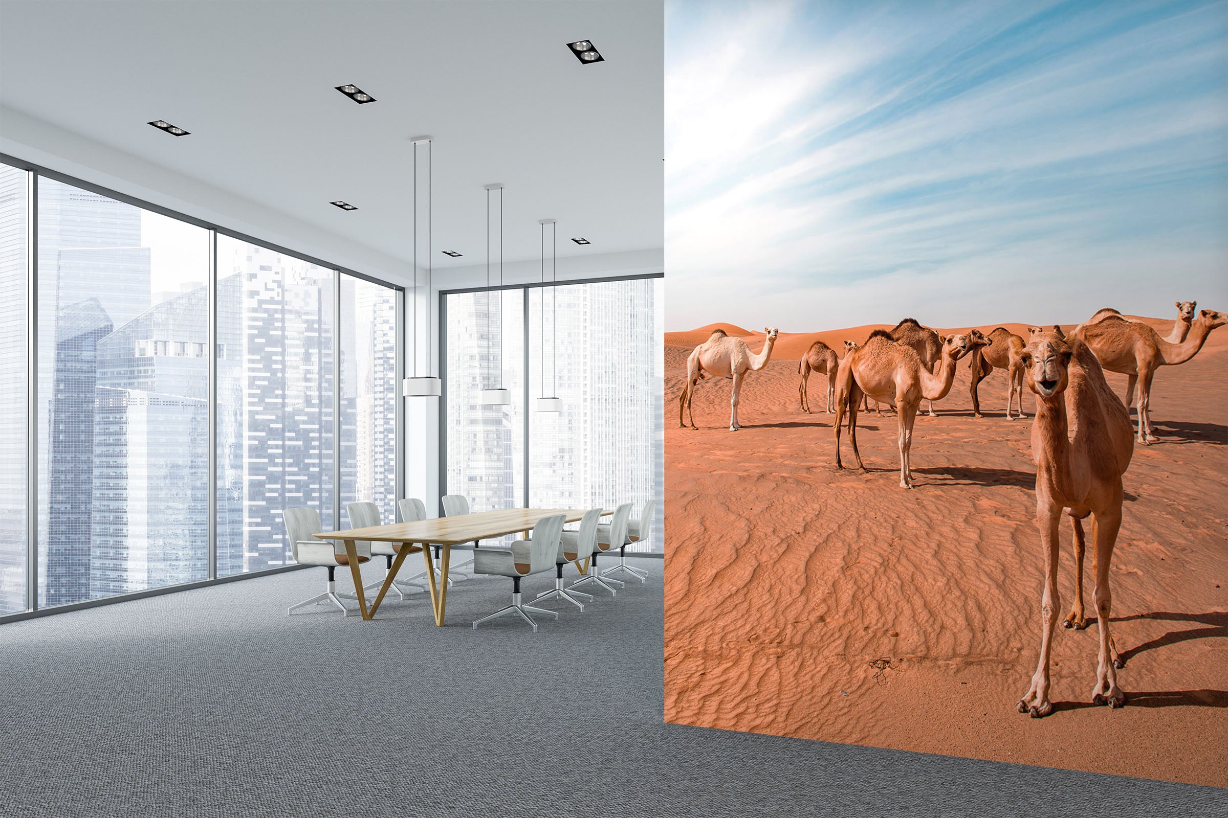 3D Desert Camel 101 Wall Murals