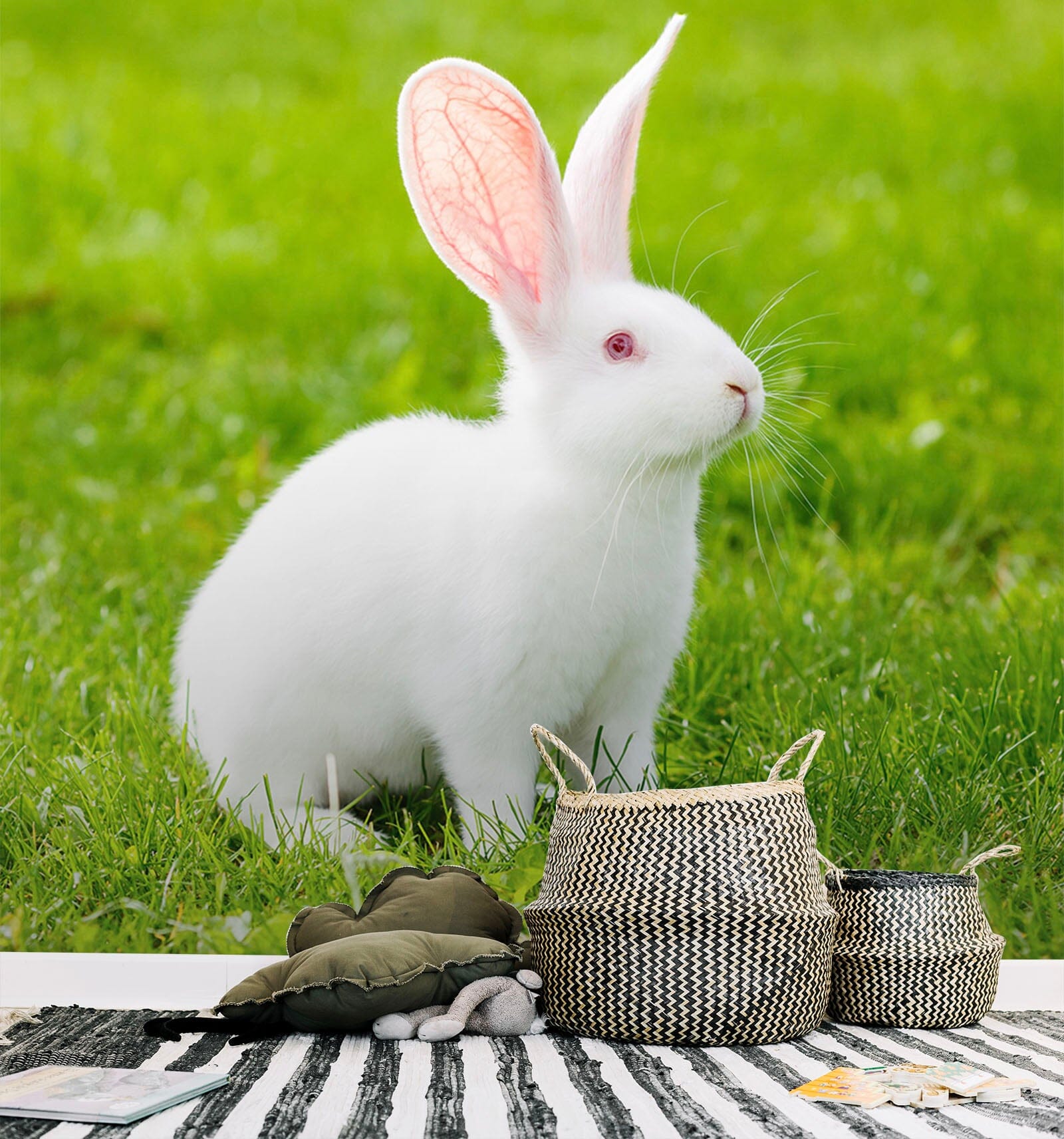 3D Lawn Rabbit 104 Wall Murals Wallpaper AJ Wallpaper 2 