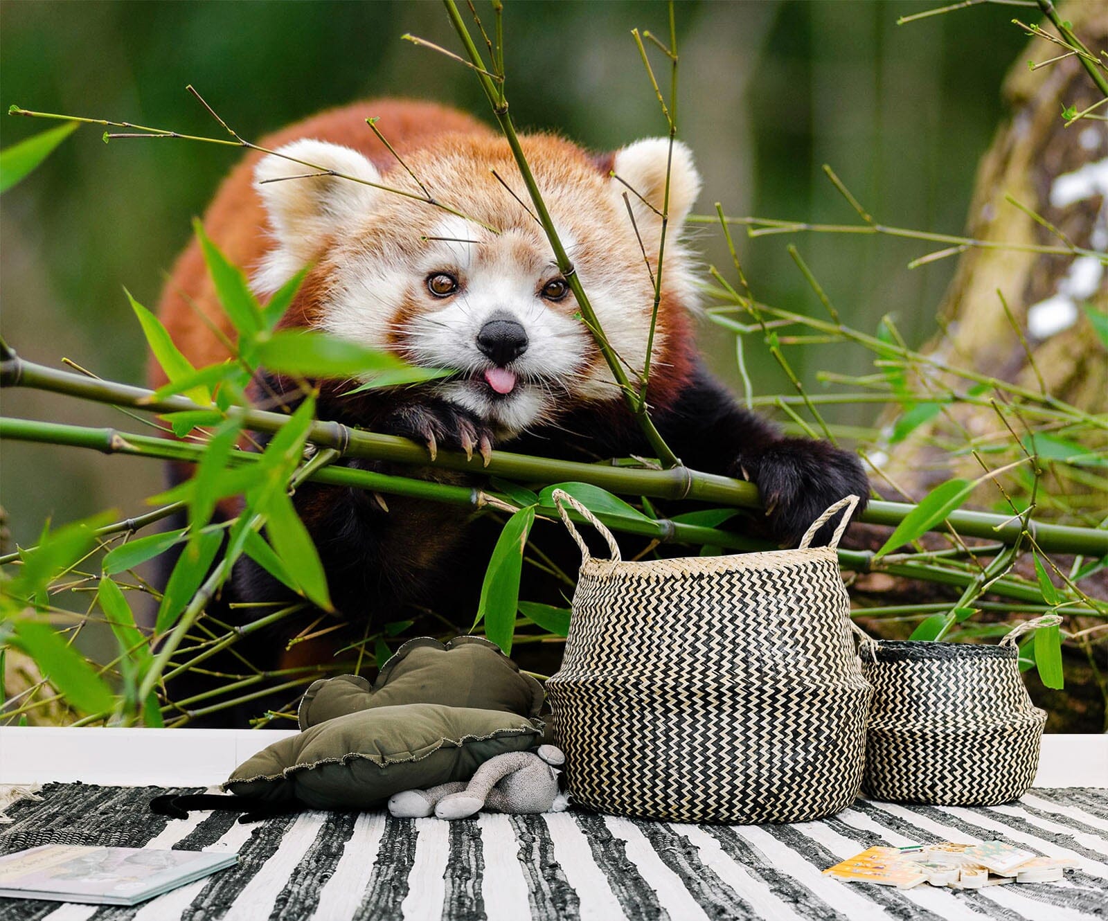 3D Red Panda 128 Wall Murals Wallpaper AJ Wallpaper 2 