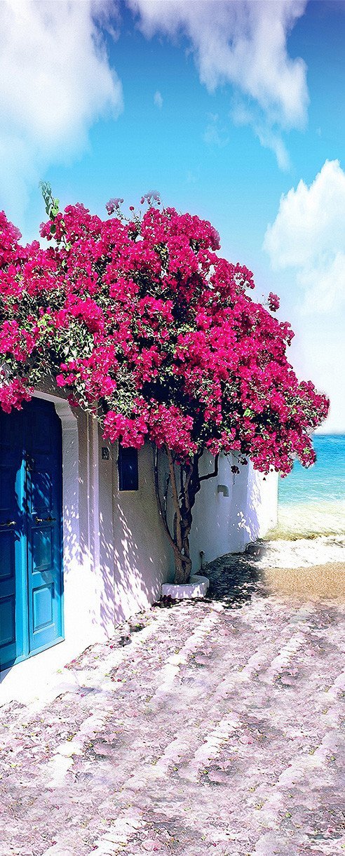 3D flowering trees and the sea door mural Wallpaper AJ Wallpaper 