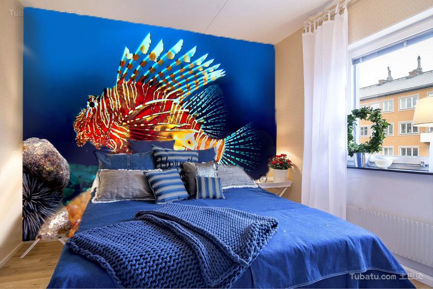 Colorful Fish Wallpaper AJ Wallpaper 