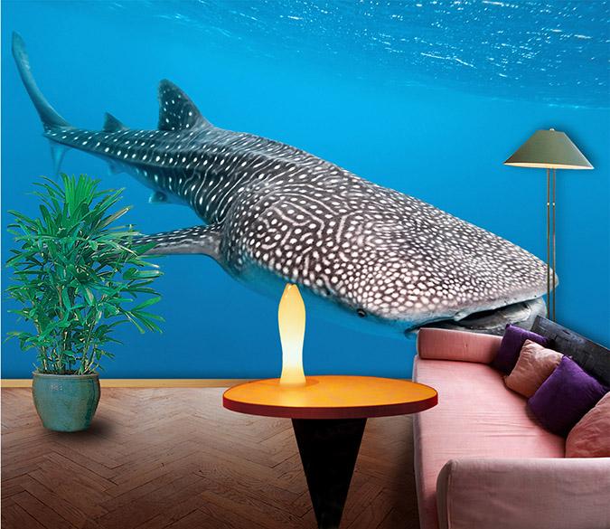 3D Big Fish Swimming 043 Wallpaper AJ Wallpaper 