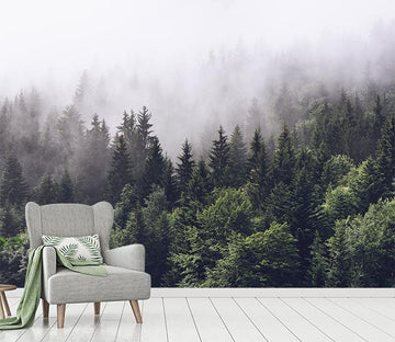 3D Morning Fog 072 Wallpaper AJ Wallpaper 