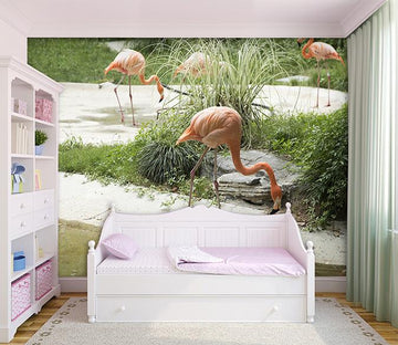 3D Flamingo Foraging 067 Wallpaper AJ Wallpaper 