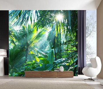 3D Sunshine Coconut 794 Wallpaper AJ Wallpaper 