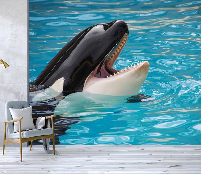 3D Black Dolphin 060 Wallpaper AJ Wallpaper 