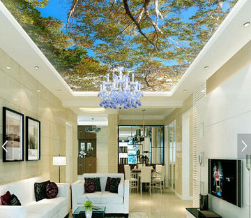 Woods Sky 144 Wallpaper AJ Wallpaper 