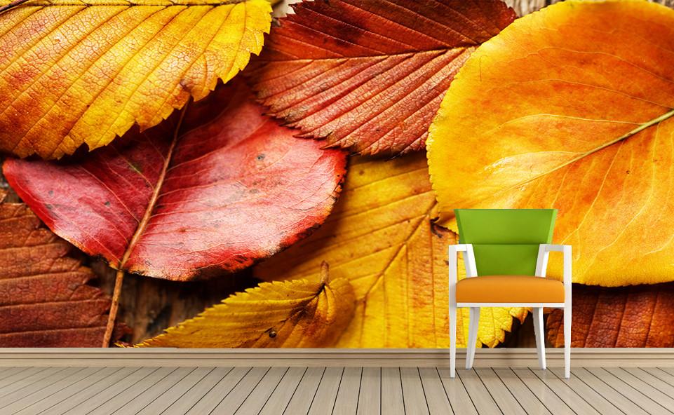 Colorful Leaves 3 Wallpaper AJ Wallpaper 