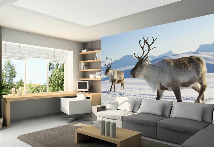 3D Snow Antelope 738 Wallpaper AJ Wallpaper 