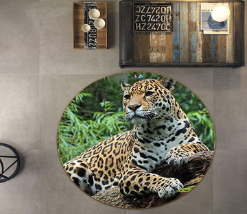 3D Leopard Resting 010 Round Non Slip Rug Mat Mat AJ Creativity Home 