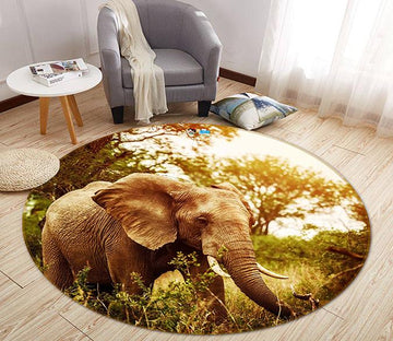 3D Long Nose Elephant 011 Round Non Slip Rug Mat Mat AJ Creativity Home 