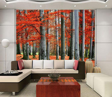 3D Maple Forest 674 Wallpaper AJ Wallpaper 