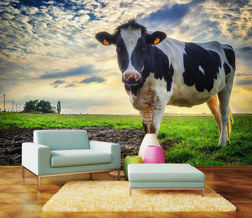 3D Sky Cow 081 Wallpaper AJ Wallpaper 