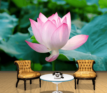 3D Beautiful Lotus 791 Wallpaper AJ Wallpaper 2 