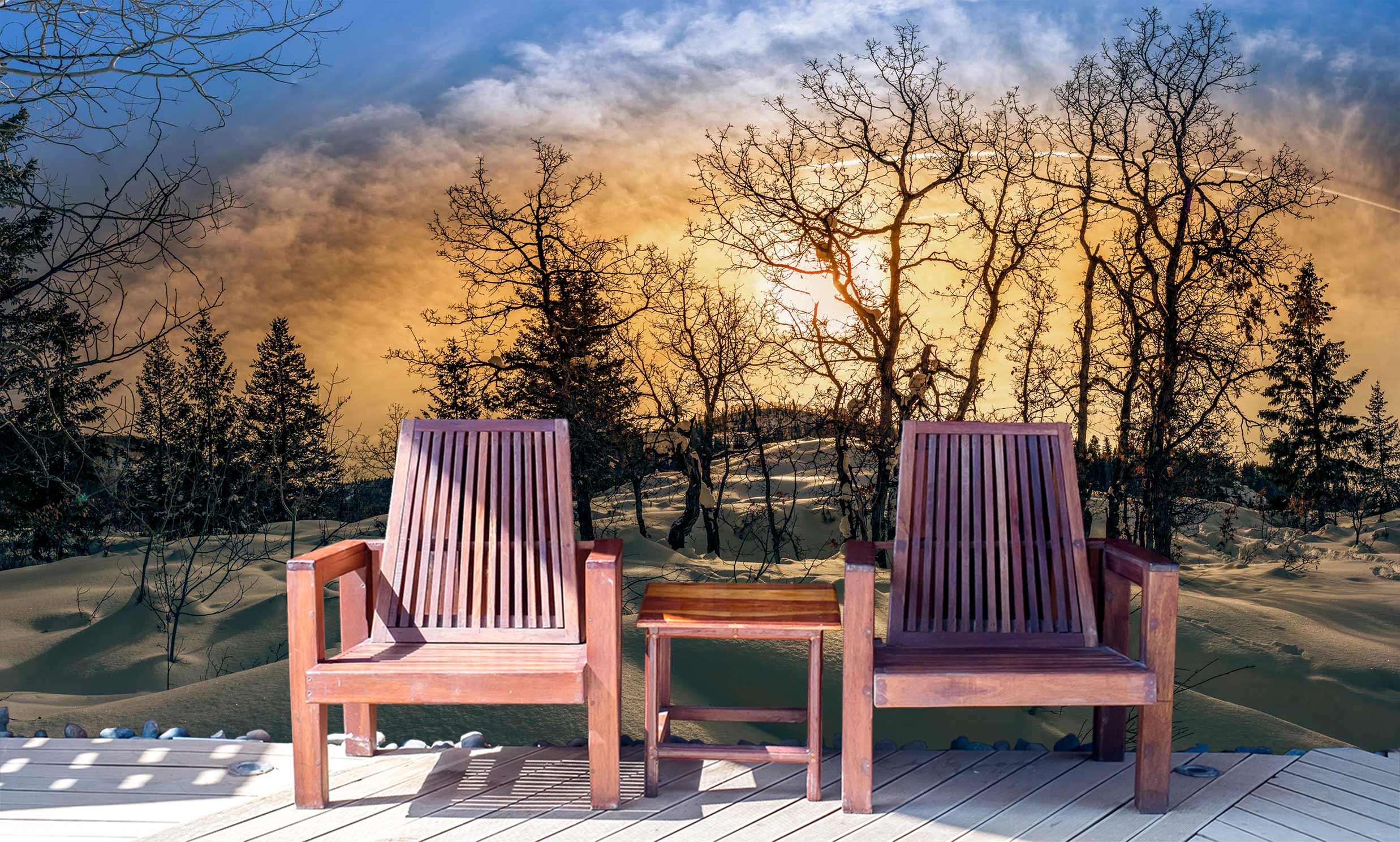 3D Snow Trees 5250 Beth Sheridan Wall Mural Wall Murals