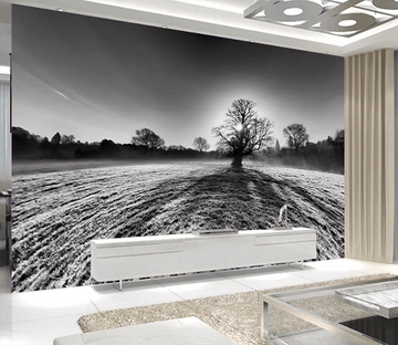 3D Big Tree Shadow 1227 Wallpaper AJ Wallpaper 2 