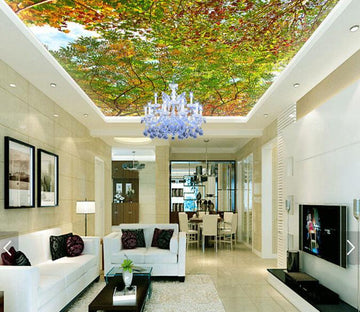 Autumn Maple Forest 147 Wallpaper AJ Wallpaper 