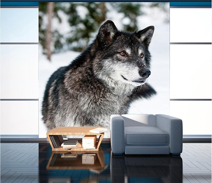 3D Wild Wolf Snow 016 Wallpaper AJ Wallpaper 