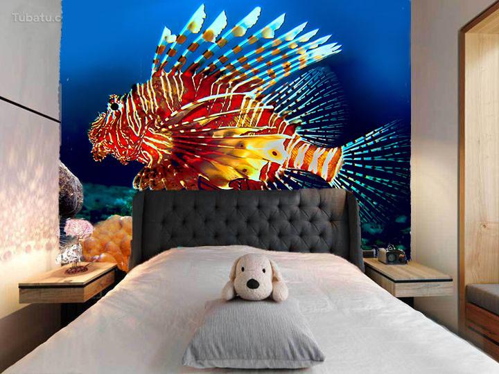 Colorful Fish Wallpaper AJ Wallpaper 