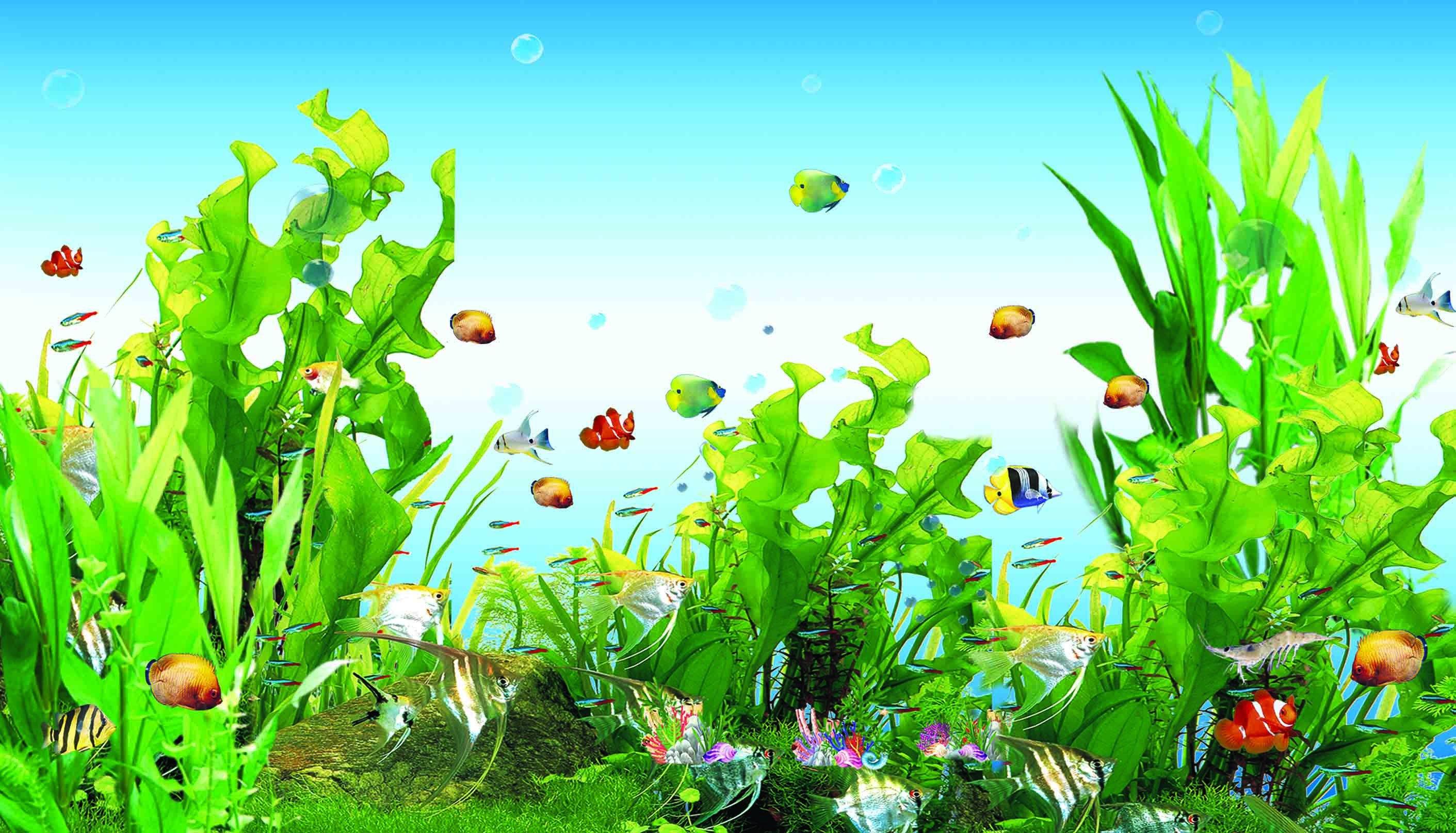 3D Seaweeds And Fishes 508 Kitchen Mat Floor Mural Wallpaper AJ Wallpaper 