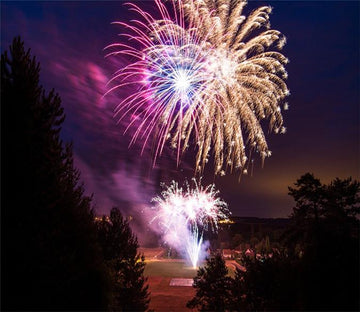 3D Fireworks Blossoming 747 Wallpaper AJ Wallpaper 
