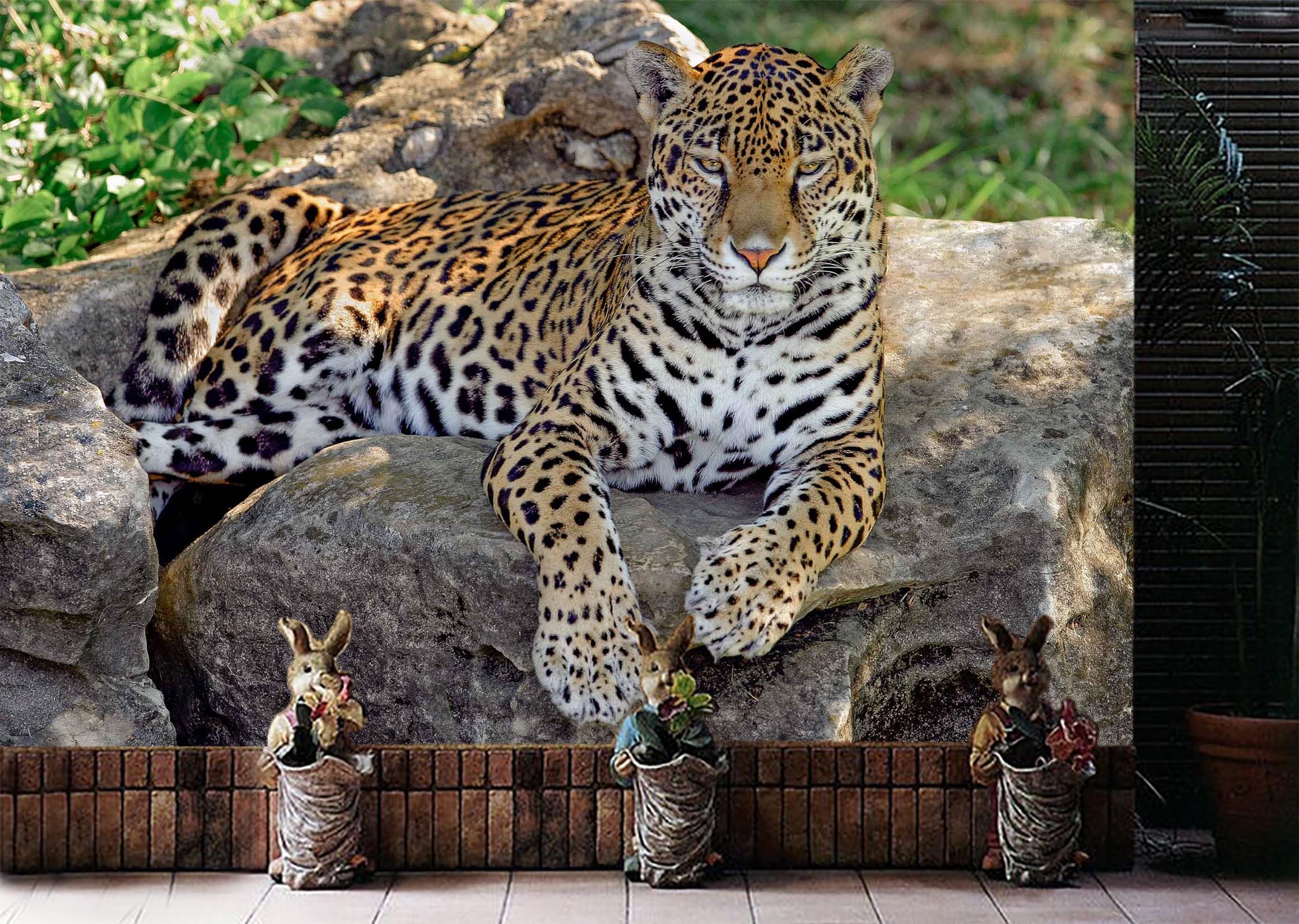 3D Stone Tiger 1067 Wall Murals Wallpaper AJ Wallpaper 2 