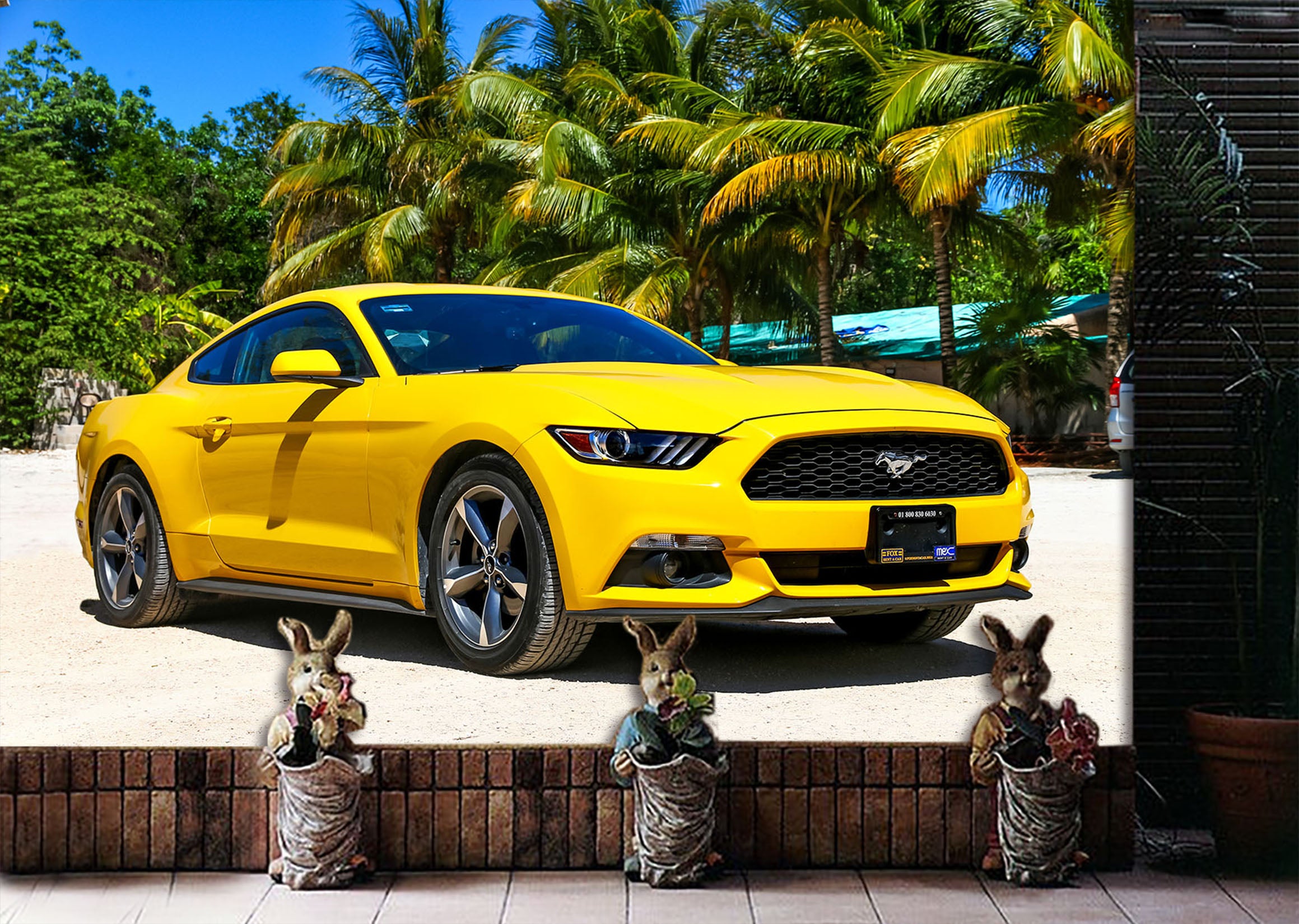 3D Beach Tree Car 356 Vehicle Wall Murals