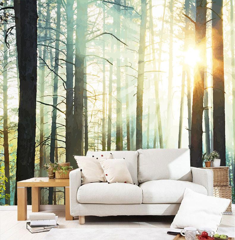 Forest Sunshine Wallpaper AJ Wallpaper 