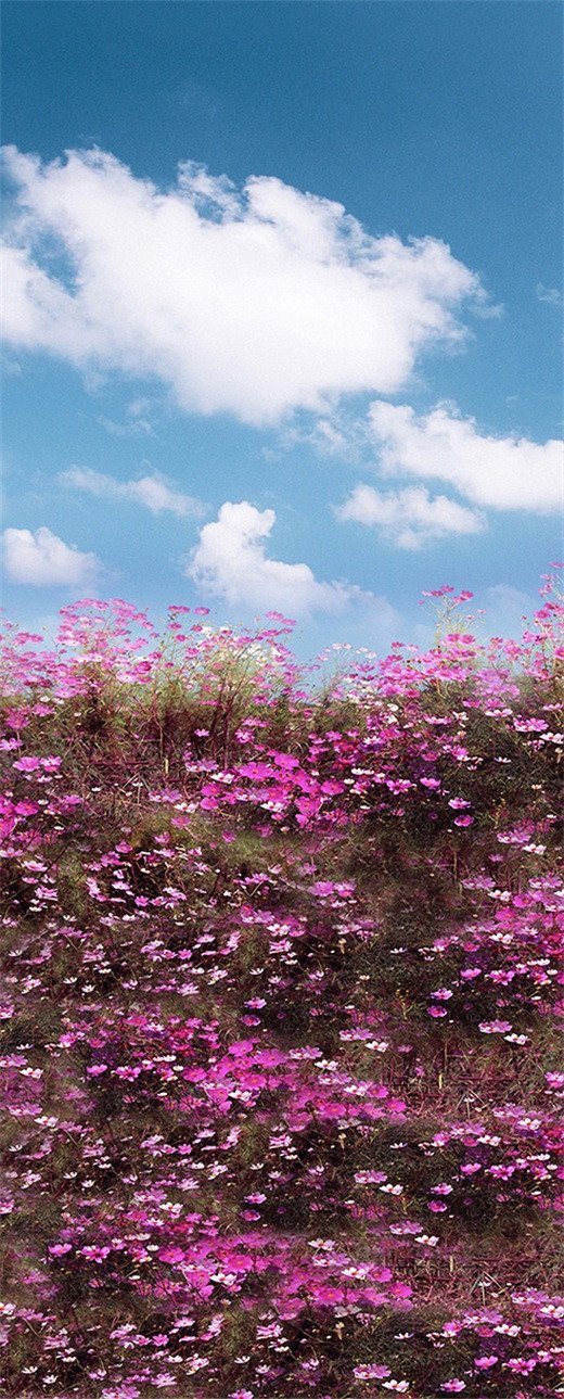 3D flower fields under the clouds door mural Wallpaper AJ Wallpaper 