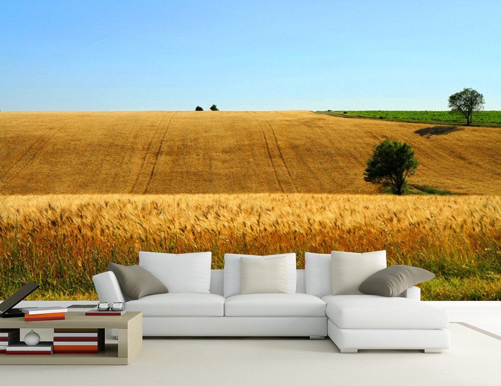 Golden Wheat Fields Wallpaper AJ Wallpaper 
