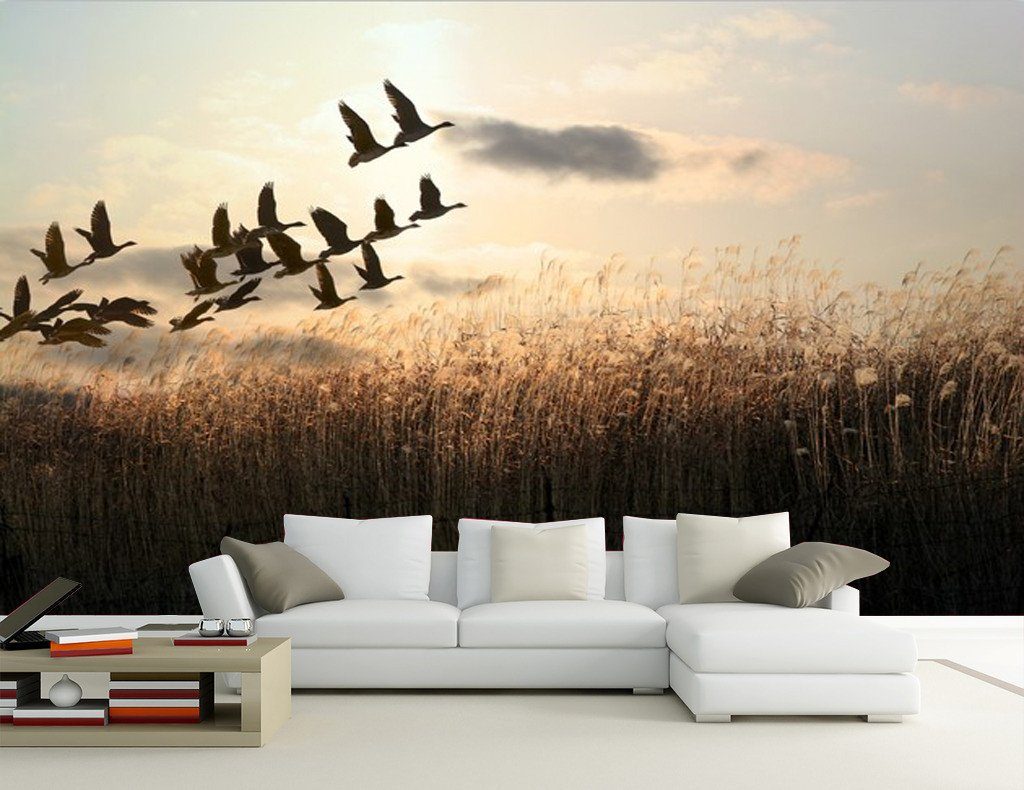 Flying Birds Wallpaper AJ Wallpaper 