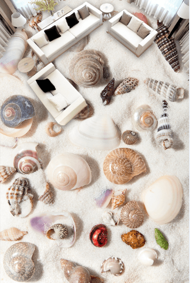 3D Shells And Conch Floor Mural Wallpaper AJ Wallpaper 2 