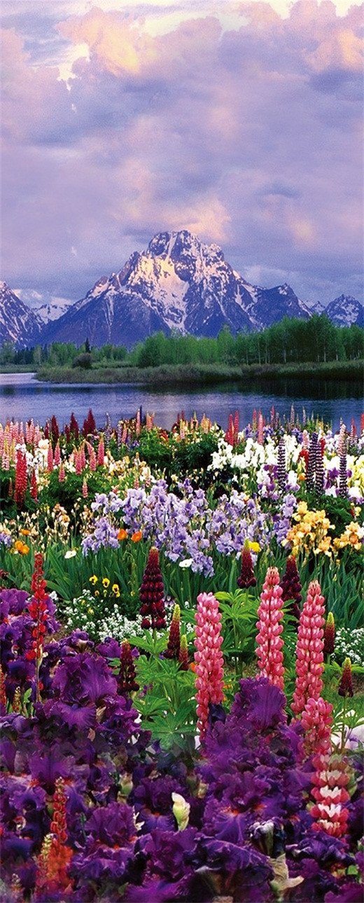 3D snow capped mountains and flowers door mural Wallpaper AJ Wallpaper 