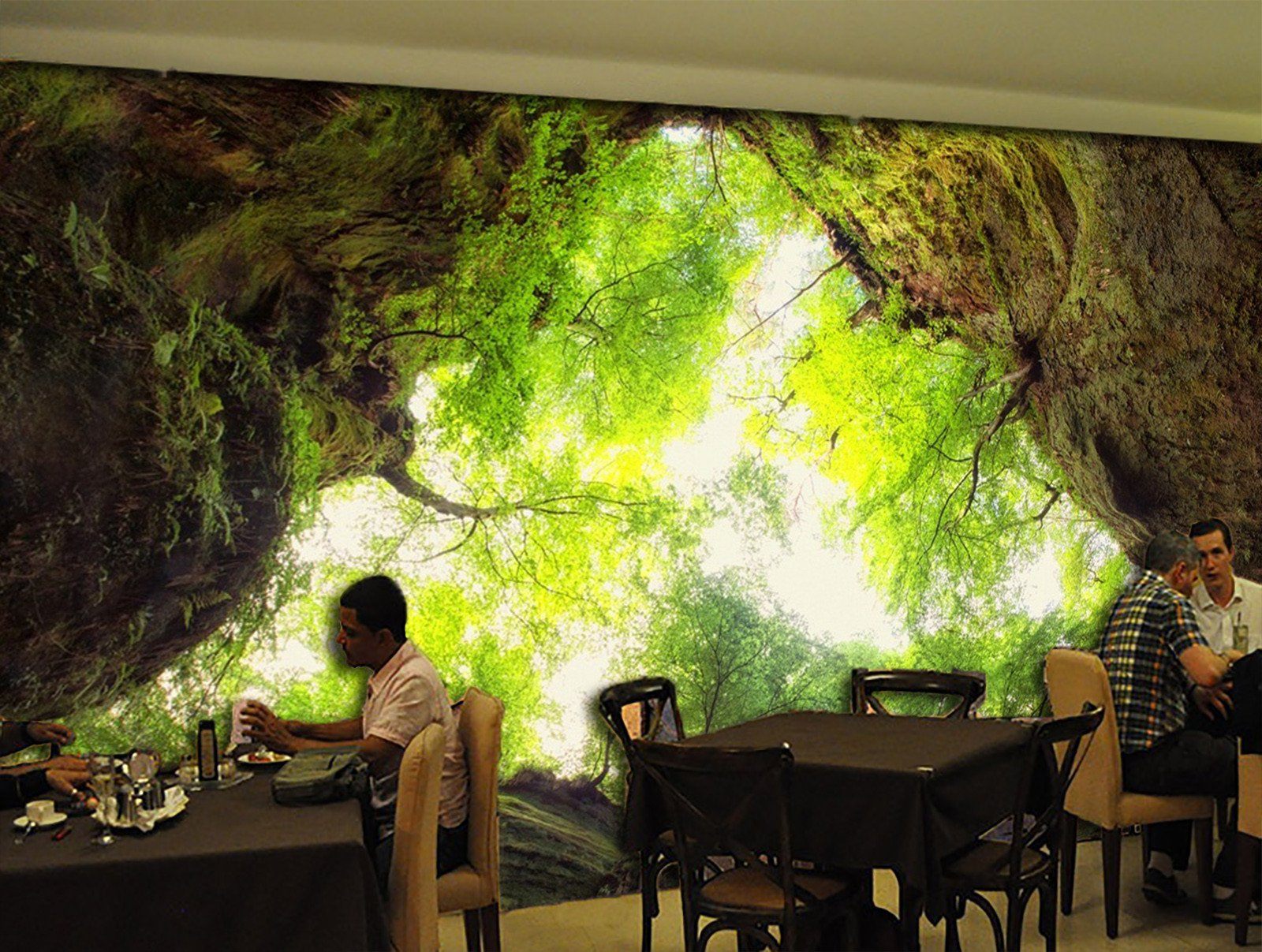 3D Sunshine Forest 577 Wallpaper AJ Wallpaper 