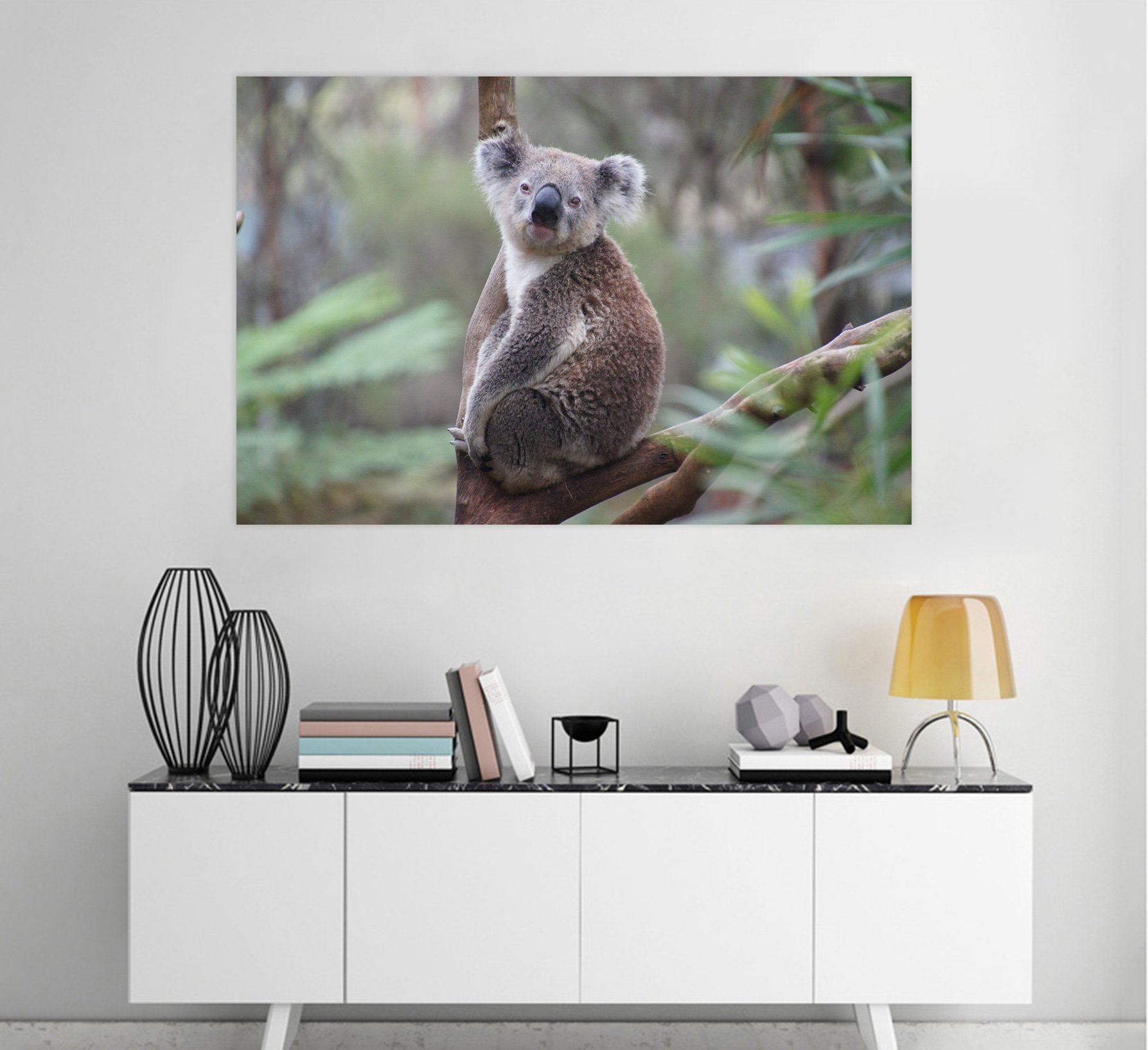 D Koala 88 Animal Wall Stickers Wallpaper AJ Wallpaper 2 