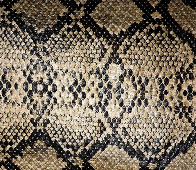 3D Stone Flower Pattern 622 Wallpaper AJ Wallpaper 