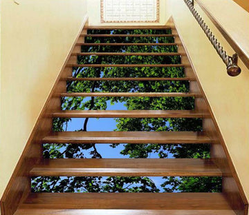 3D Bough 1305 Stair Risers Wallpaper AJ Wallpaper 
