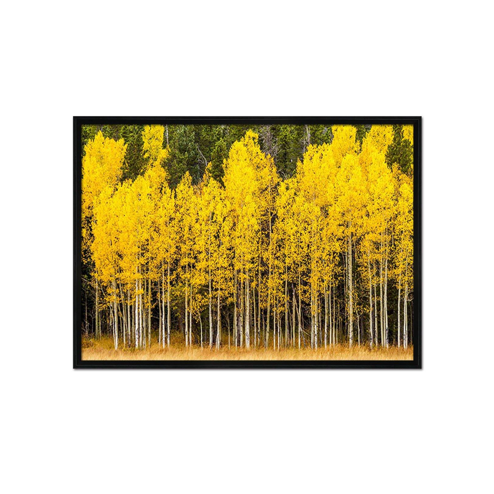3D Maple Forest 105 Fake Framed Print Painting Wallpaper AJ Creativity Home 