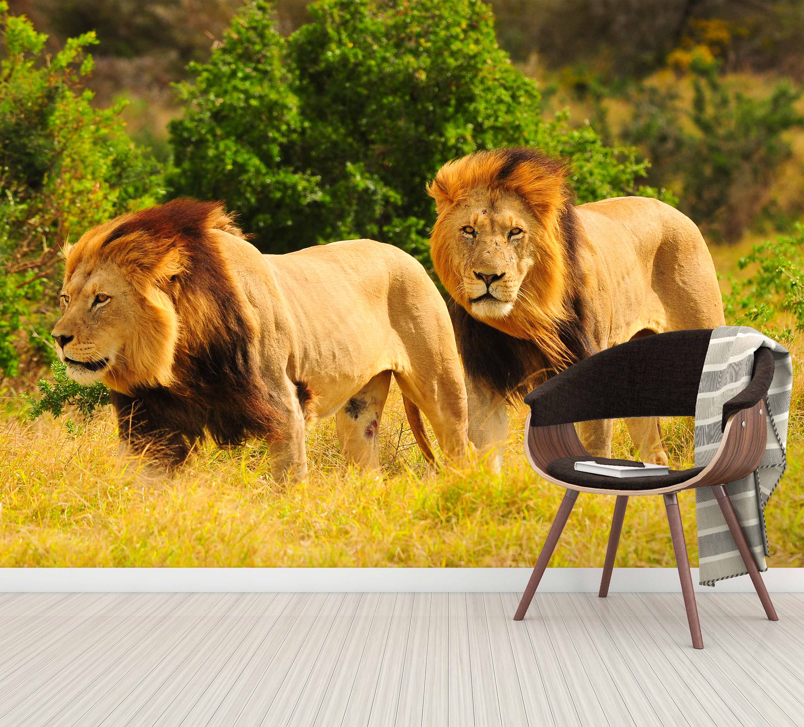 3D African Lion 367 Wall Murals Wallpaper AJ Wallpaper 2 