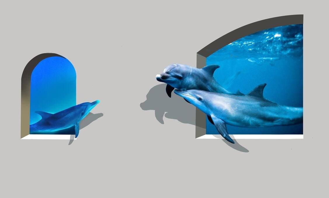 3D Windows Dolphins 242 Garage Door Mural Wallpaper AJ Wallpaper 