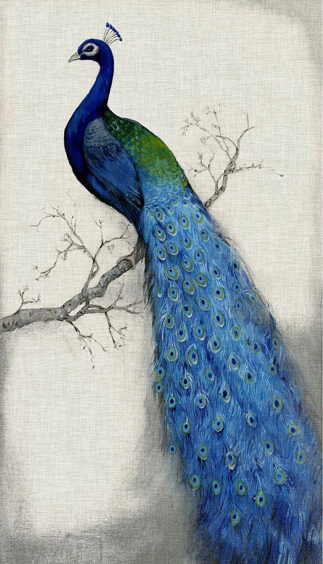 3D peacock painting door mural Wallpaper AJ Wallpaper 