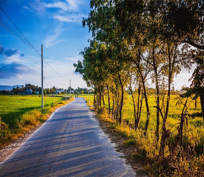 3D Wild Fields Road 21 Wallpaper AJ Wallpaper 