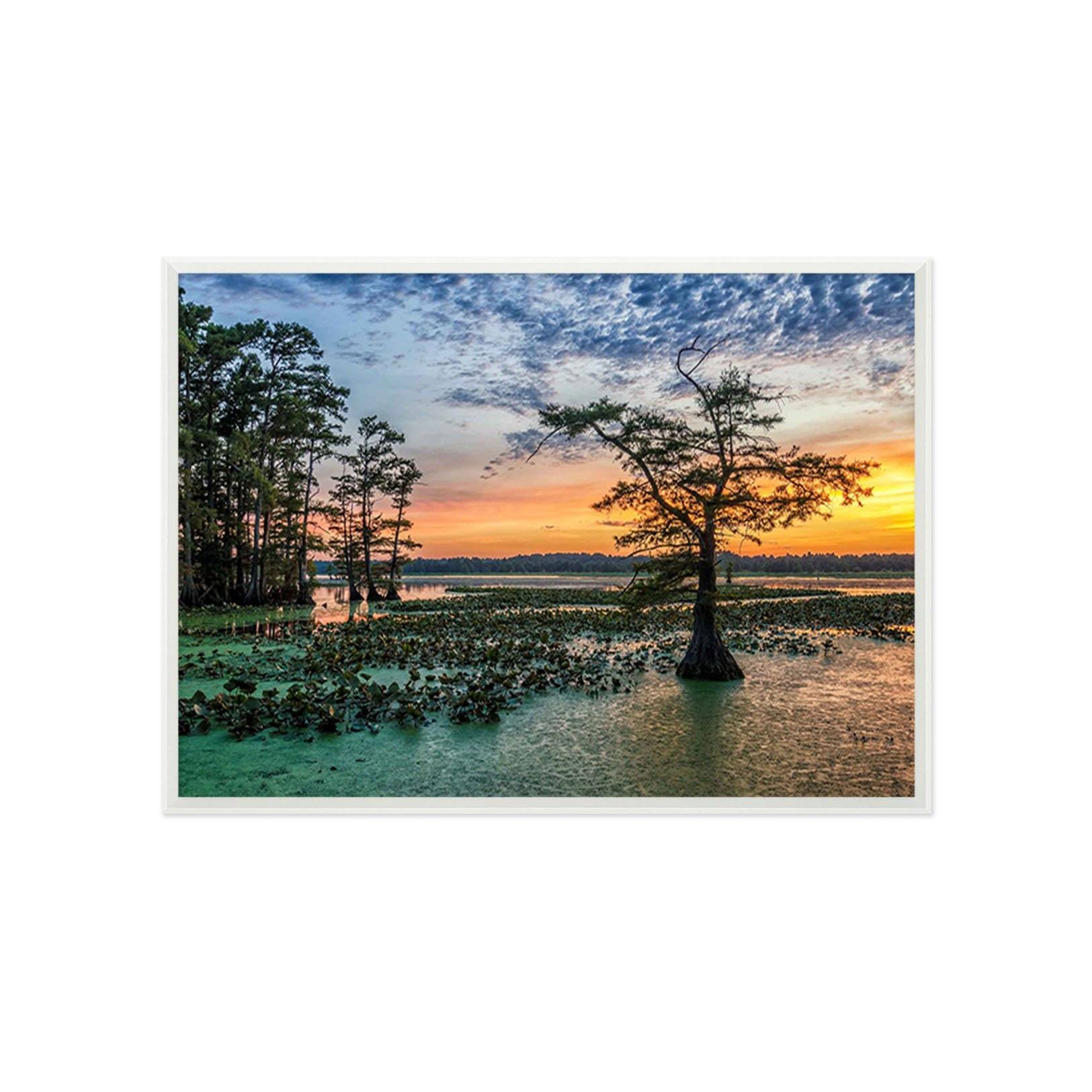 3D Lonely Tree 179 Fake Framed Print Painting Wallpaper AJ Creativity Home 