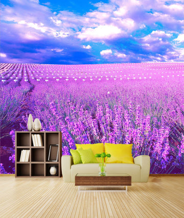 Purple Fields Wallpaper AJ Wallpaper 