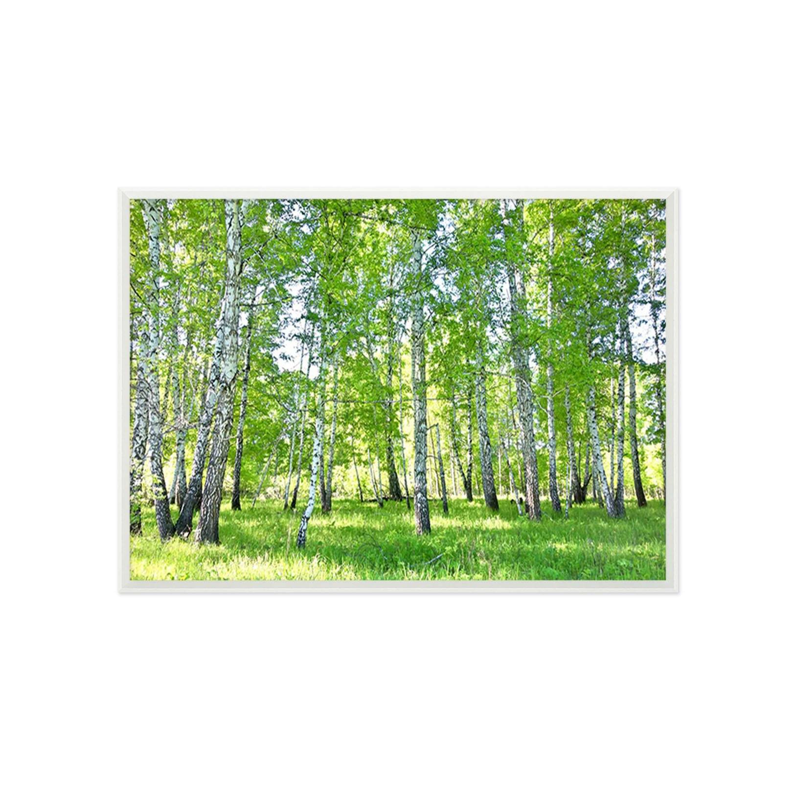 3D Shade Trees 008 Fake Framed Print Painting Wallpaper AJ Creativity Home 