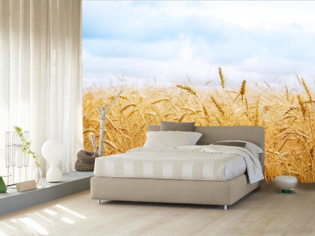 Wheat Crops 52 Wallpaper AJ Wallpaper 1 