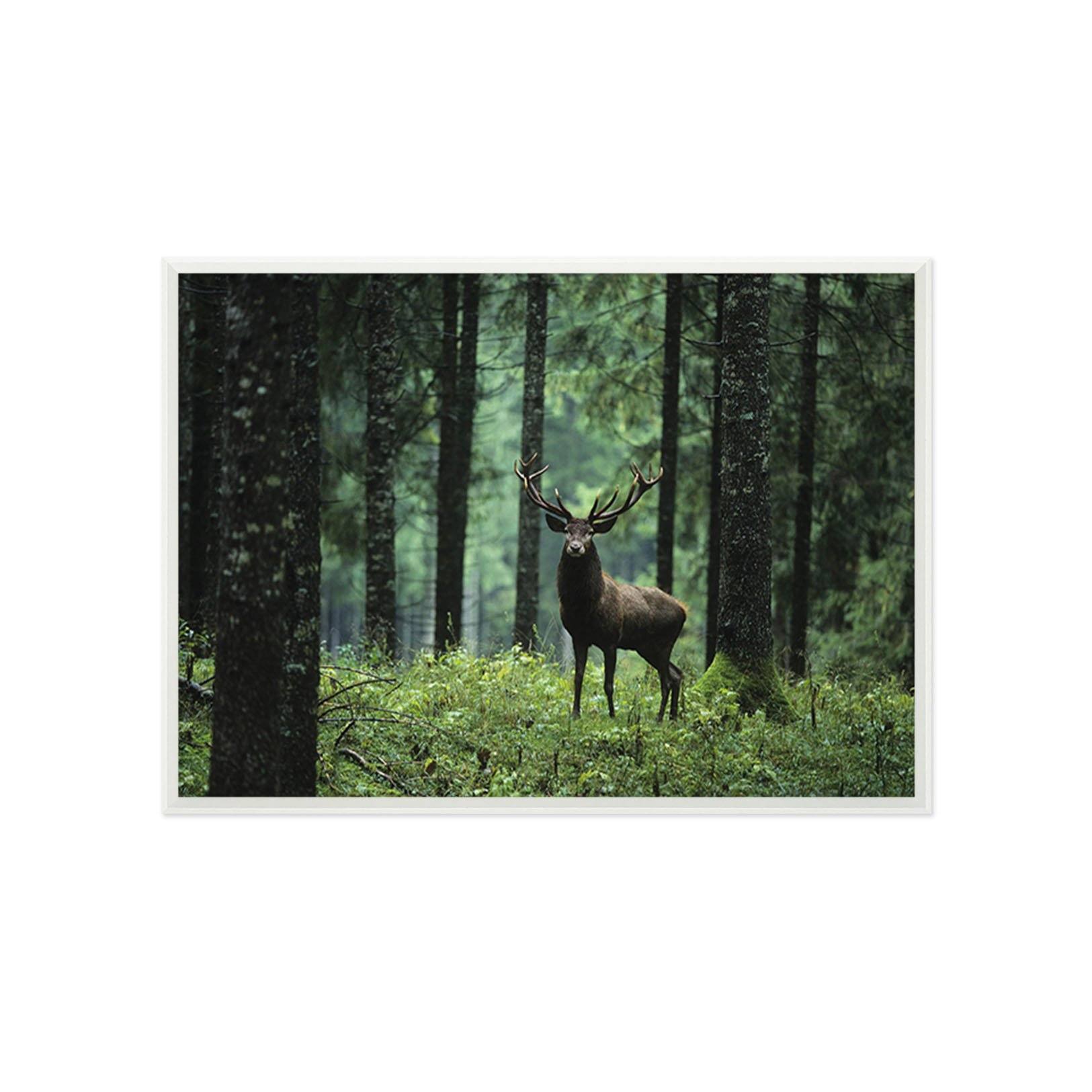 3D Suddenly Fawn 177 Fake Framed Print Painting Wallpaper AJ Creativity Home 